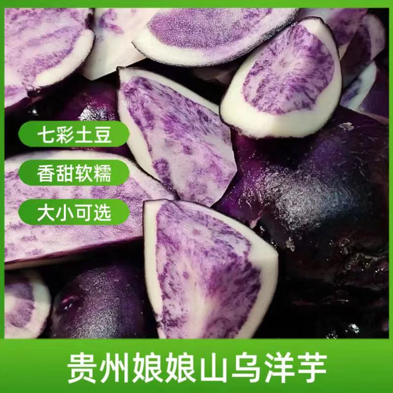 贵州娘娘山乌洋芋高山洋芋好吃