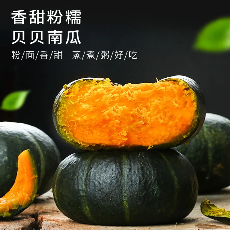 景泰旱地贝贝南瓜香甜南瓜蒸煮食用自然美味香味扑鼻