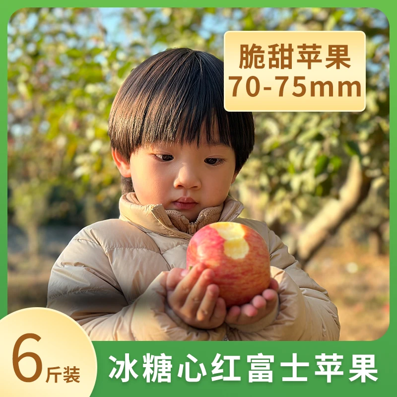 【宁夏牧飒】景泰冰糖心红富士苹果产地直销畅销款5斤装12枚左右