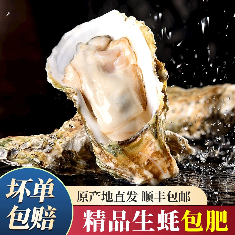 生蚝海捕新鲜带壳牡蛎鲜活水产肉质肥美顺丰包邮【4-5两/只】
