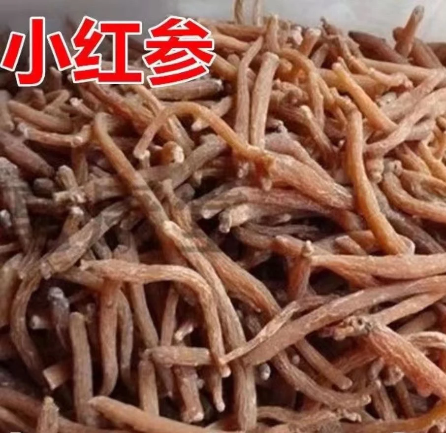 大吴家长白山小红参