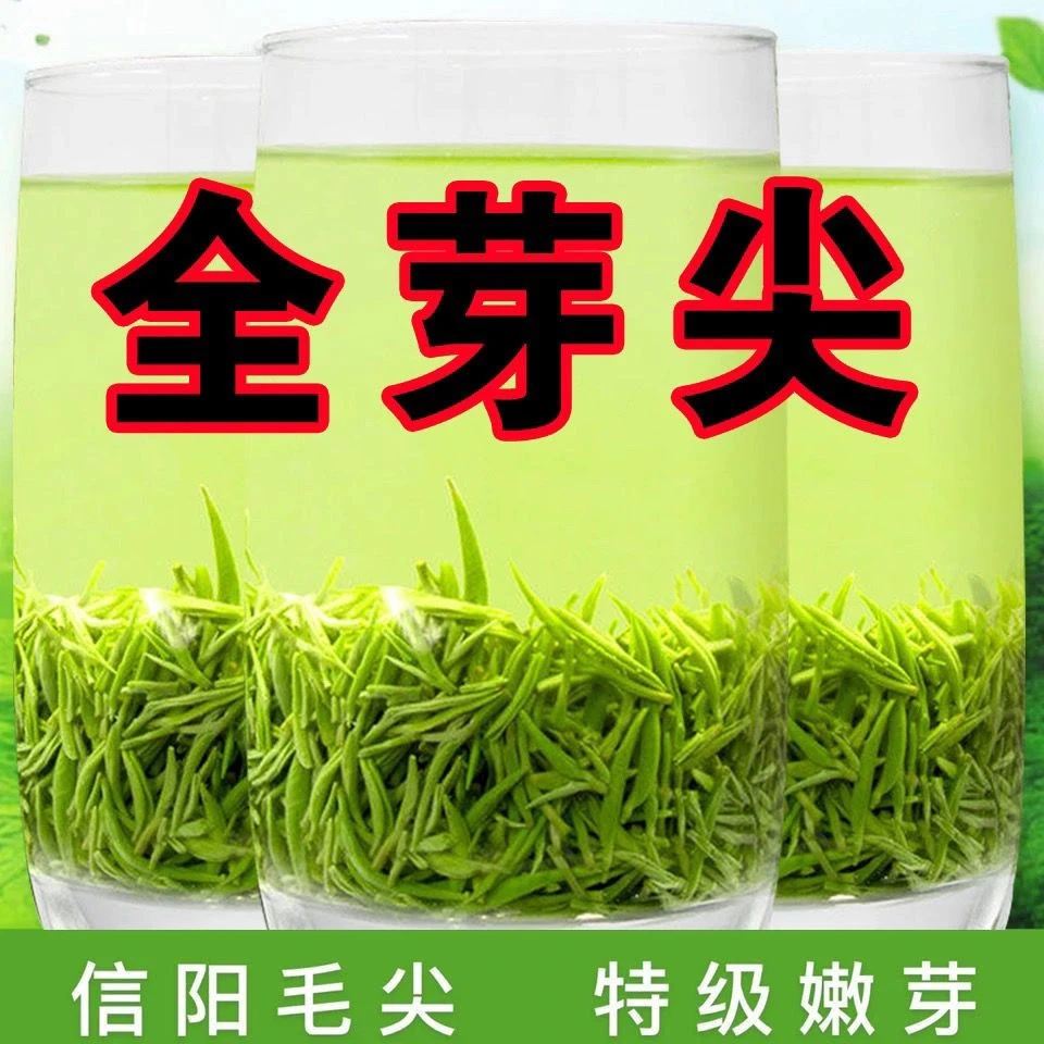 毛尖绿茶正宗信阳茶叶毛尖2025新茶明前特级嫩芽手工栗香高档罐装