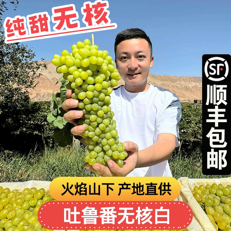 顺丰冷链【送1斤】新疆吐鲁番火焰山超甜无核葡萄纯甜水果无核白