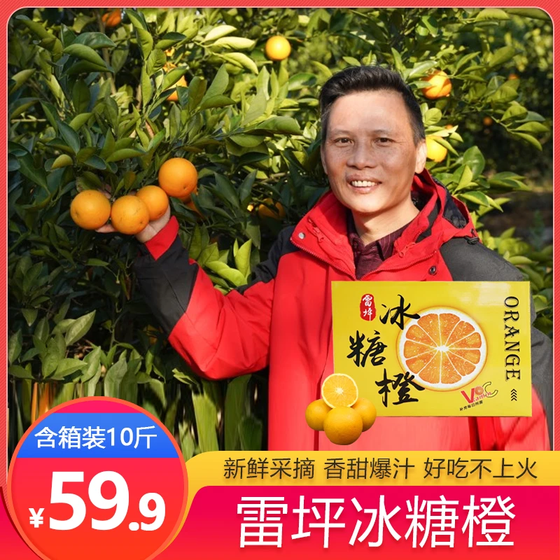 桂阳雷坪冰糖橙香甜可口多汁好吃不上火果园新鲜采摘天然维C水果