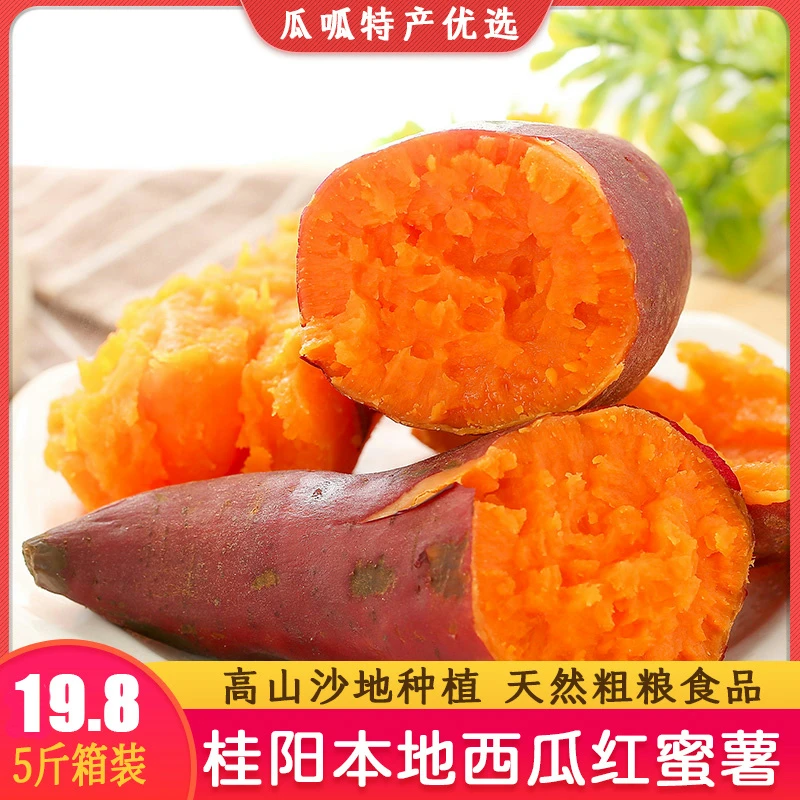 桂阳本地高山沙地西瓜红蜜薯软糯香甜天然粗粮食品烤蒸红薯精选果