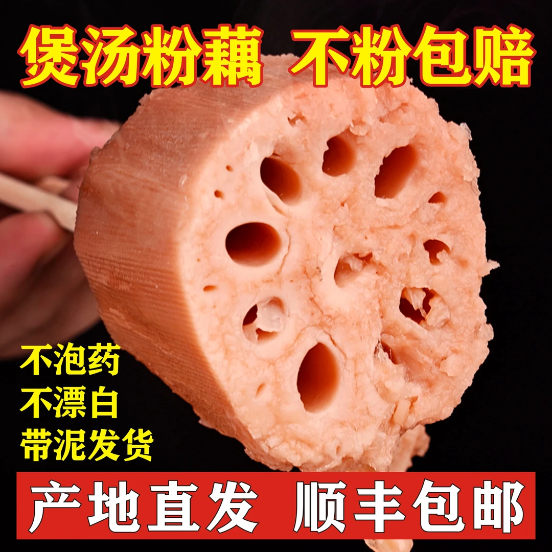 洪湖颜姐粉藕2斤3斤/5斤顺丰包邮细长品种现挖现发煲汤粉糯