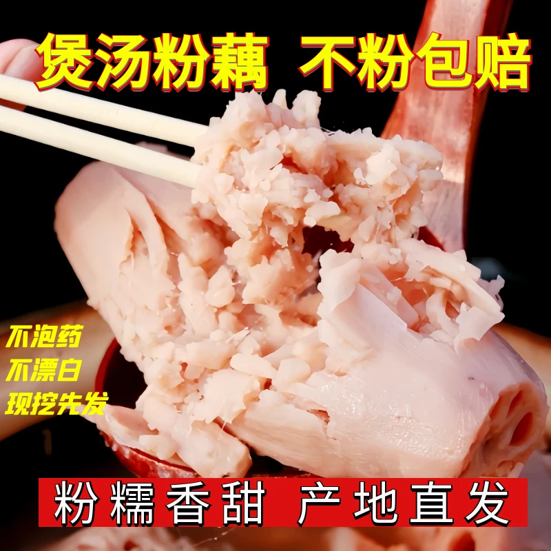洪湖煲汤粉藕申通快递2斤/3斤/5斤细长品种现挖现发洪湖特产汤藕