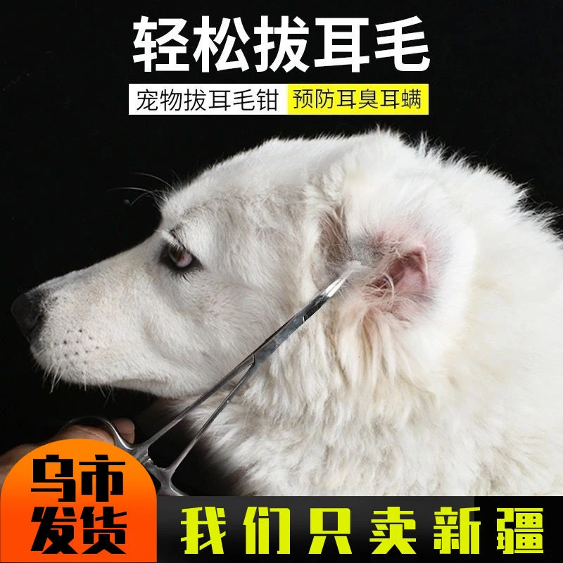新疆包邮/猫狗拔耳毛钳拔毛神器宠物猫狗耳朵清洁用品