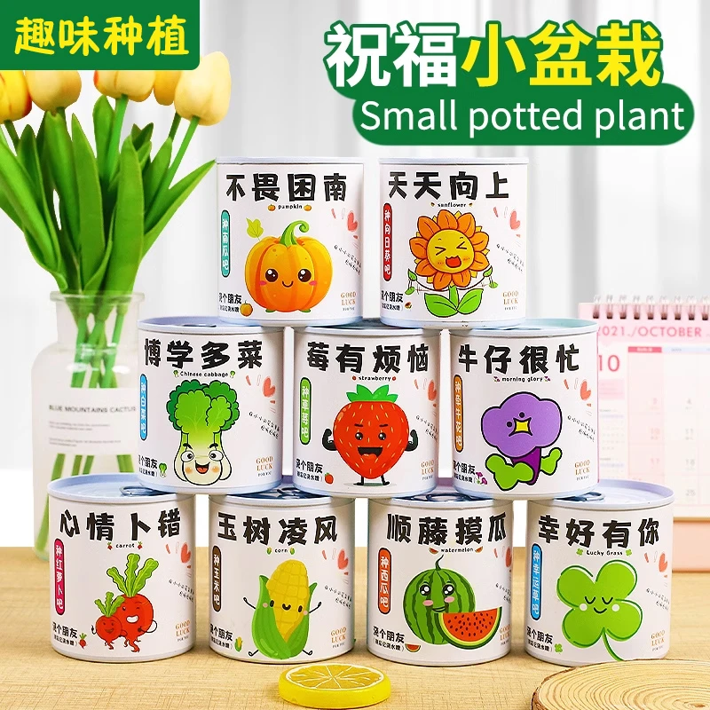植物罐头儿童太阳能种植玩具观察盒子科学小实验套装网红祝福盆栽