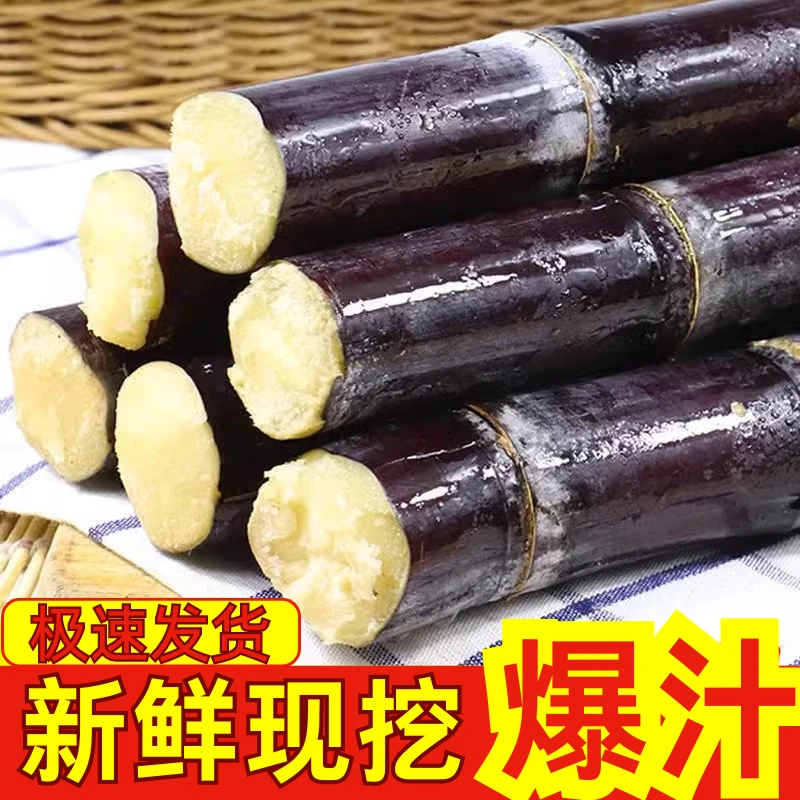 24年新鲜现挖广西黑皮甘蔗脆甜多汁甘蔗龙州产地5/9斤