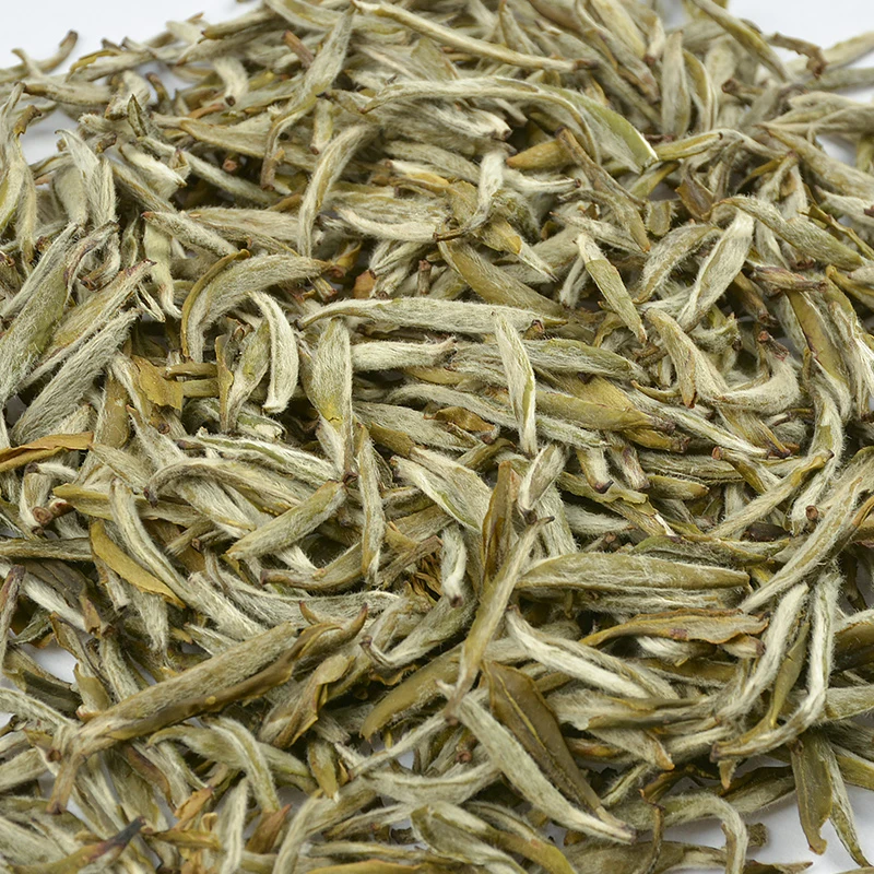 【专享】茉莉花茶金芽针王新茶九窨一提罐装福鼎茶胚