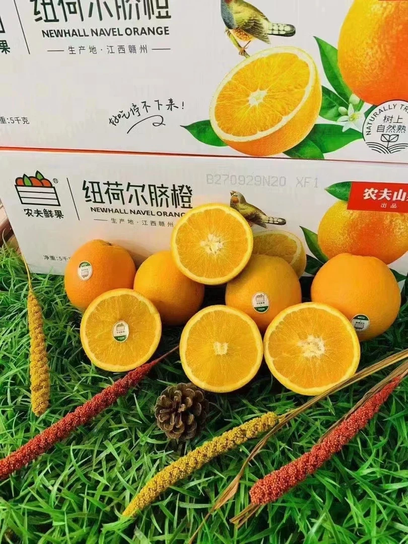 农夫果园纽荷尔脐橙1箱10斤装