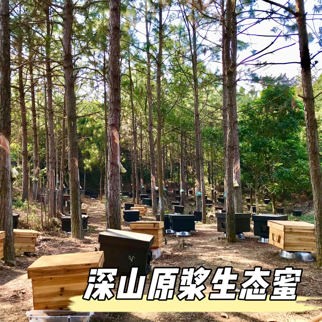 深山原浆生态蜜/蒜