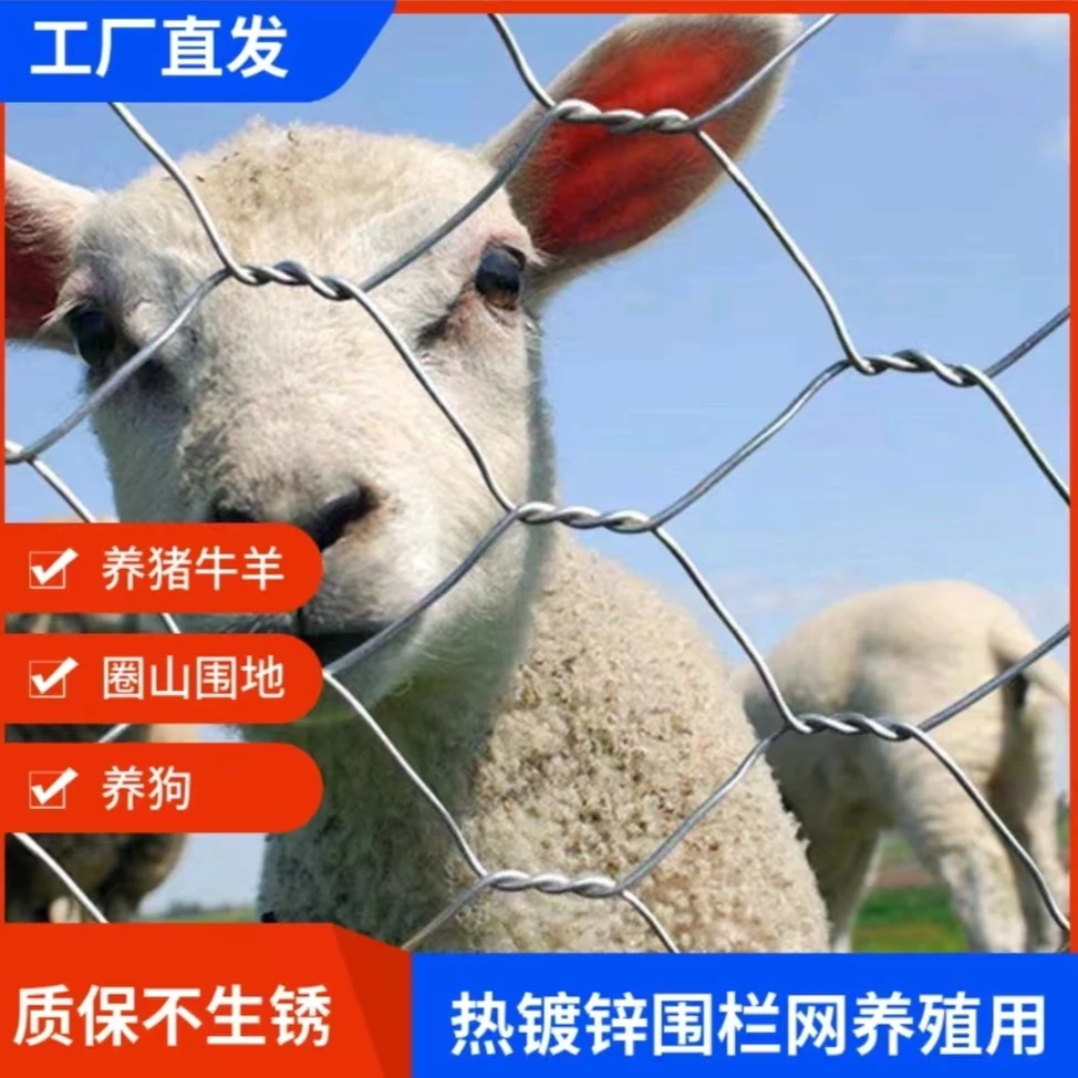 【养猪牛羊狗拧花六角网】养鸡鸭鹅圈果园防锈热度锌铁丝隔离网玉米