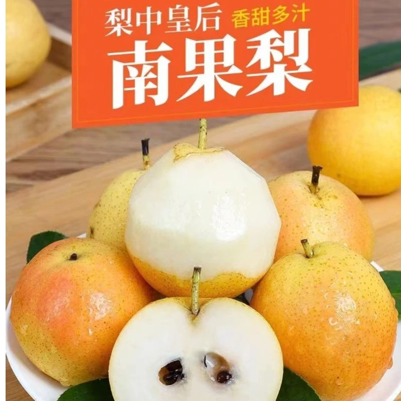 辽宁鞍山特产正宗南果梨新鲜水果细皮酒香水南国梨整箱批发1/5斤