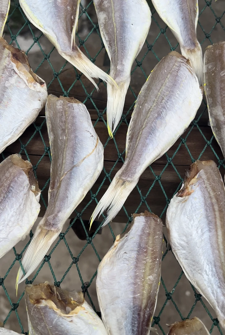 湛江特产红衫鱼红三鱼干 咸香咸鱼干 清蒸/香煎 500g