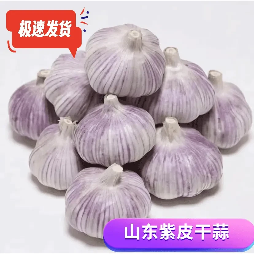 2025新蒜大蒜正宗紫白皮大蒜大蒜头干蒜5斤正宗紫皮干大蒜制蒜1斤