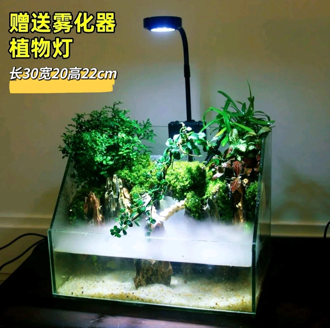 大号生态缸造景微景观玻璃水陆缸桌面客厅观赏养鱼禅意摆件