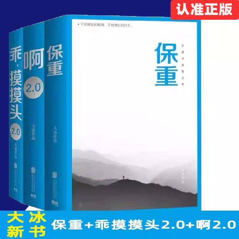 【官方正版】大冰作品全集3册正版全套 保重啊2.0小孩大冰新书