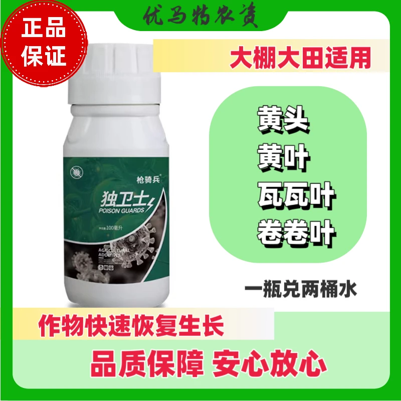 黄头黄叶瓦瓦叶卷卷叶恢复作物正常新头生长