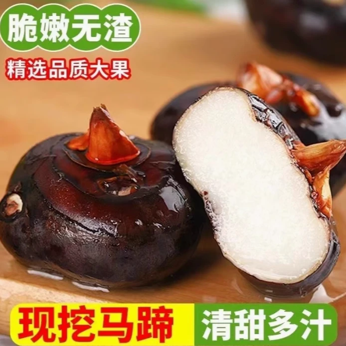 【海悦助农】马蹄果（海悦专属2）