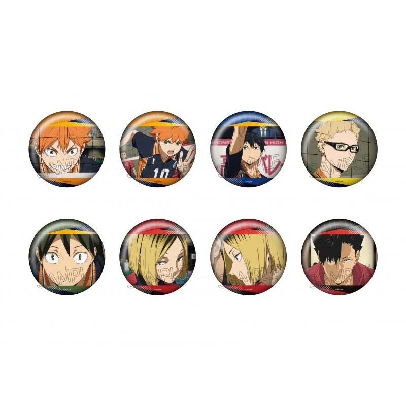 排球少年百面相第四弹徽章 正版日谷