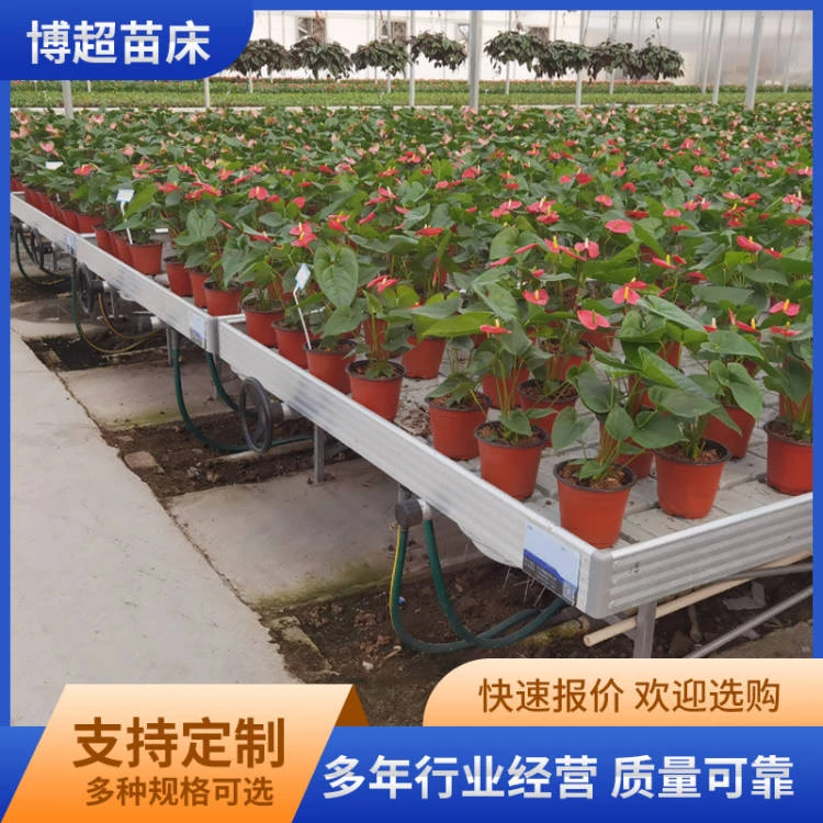 潮汐苗床 温室花卉种植苗床 大棚蔬菜潮汐灌溉苗床 博超 苗床厂家