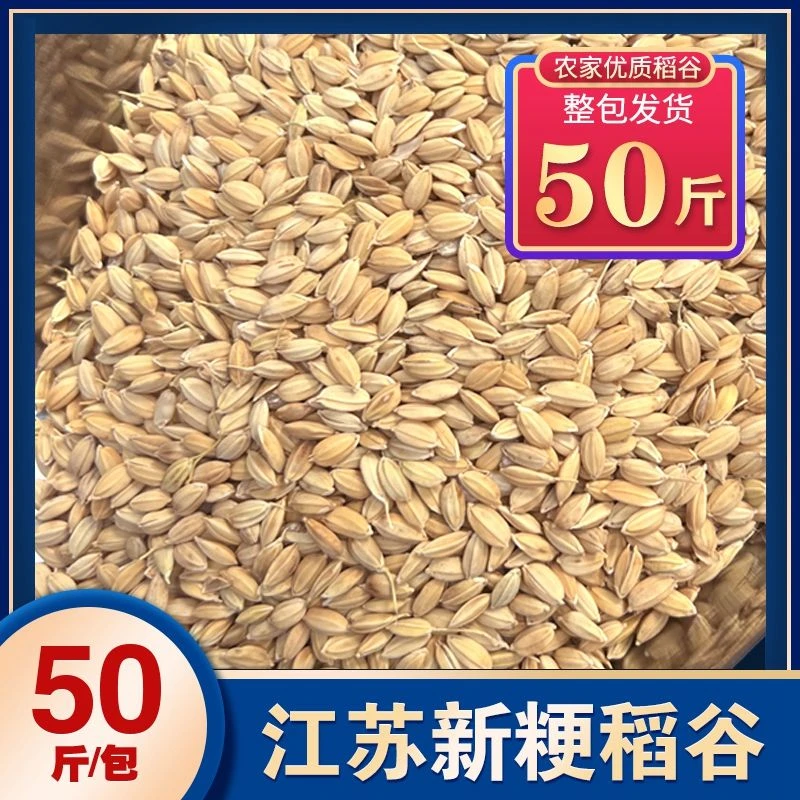 新稻谷50斤 谷子水稻稻子粮食杂粮喂鸡鸭鹅鸽鸟仓鼠宠物饲料25kg