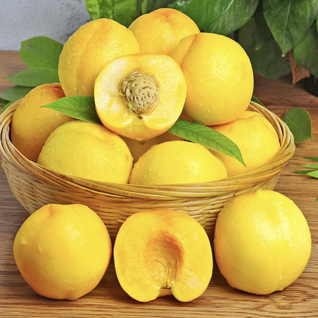 【顺丰包邮】山东蒙阴黄桃黄金油桃黄心油桃水蜜桃自产自销