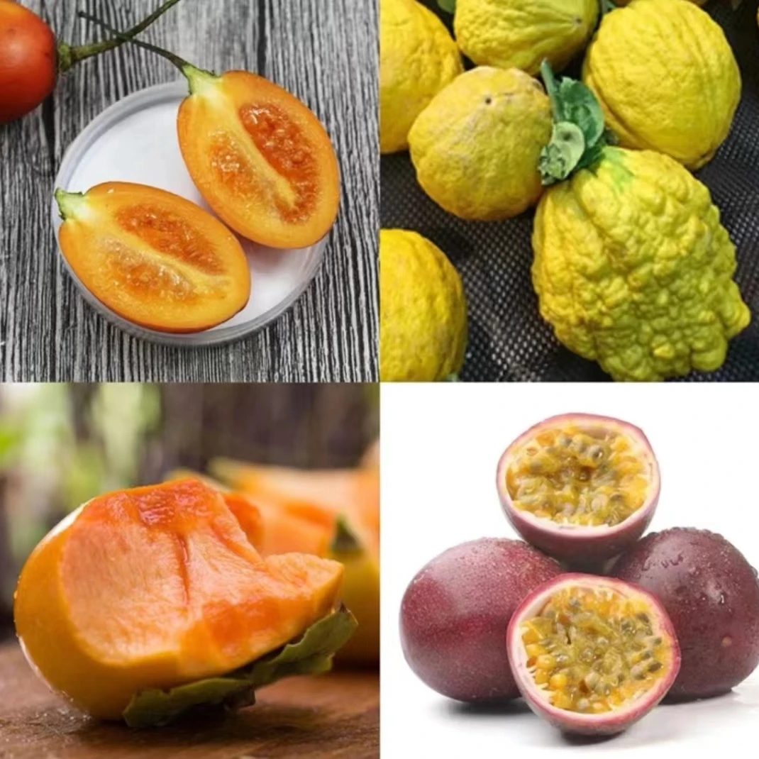 【边境山货】临时链接水果干土特产