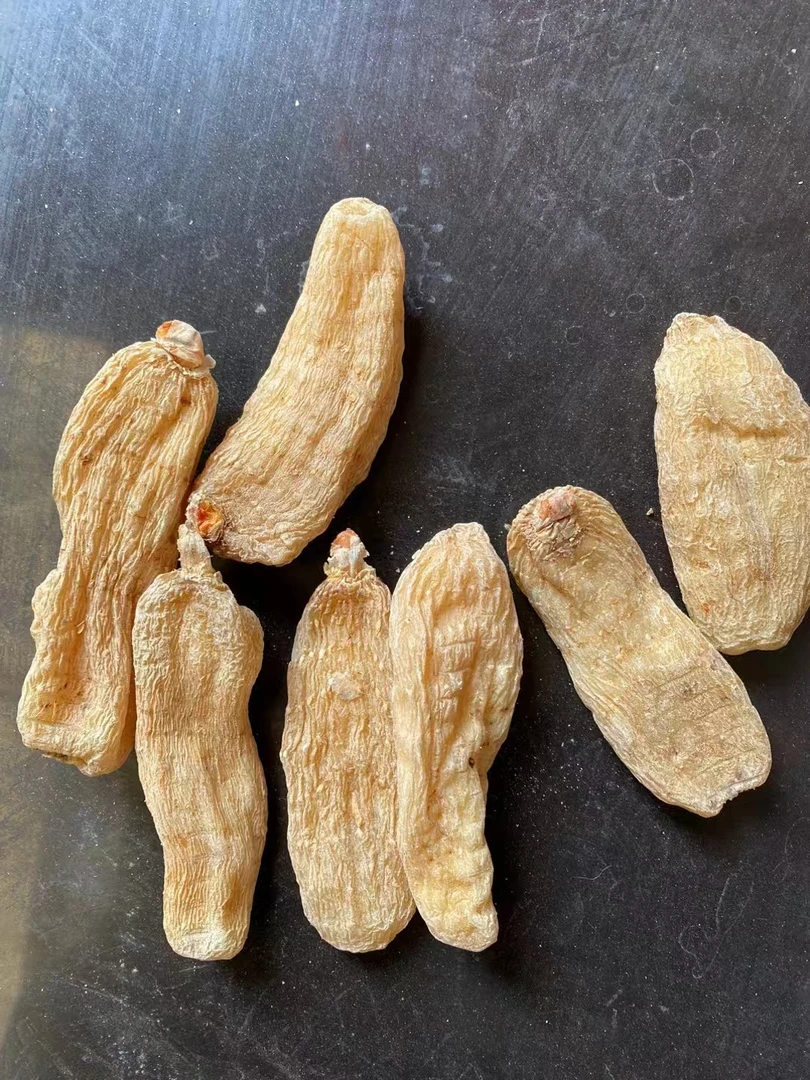 【边境山货】雪舔嘛菇临时链接非香菇