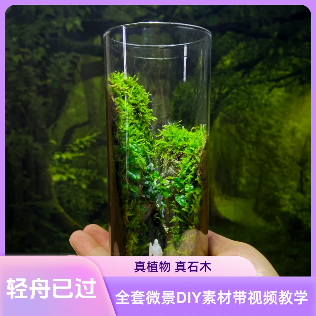 【入门款】轻舟已过 创意桌面微景观绿植苔藓微景桌面景观解压造景