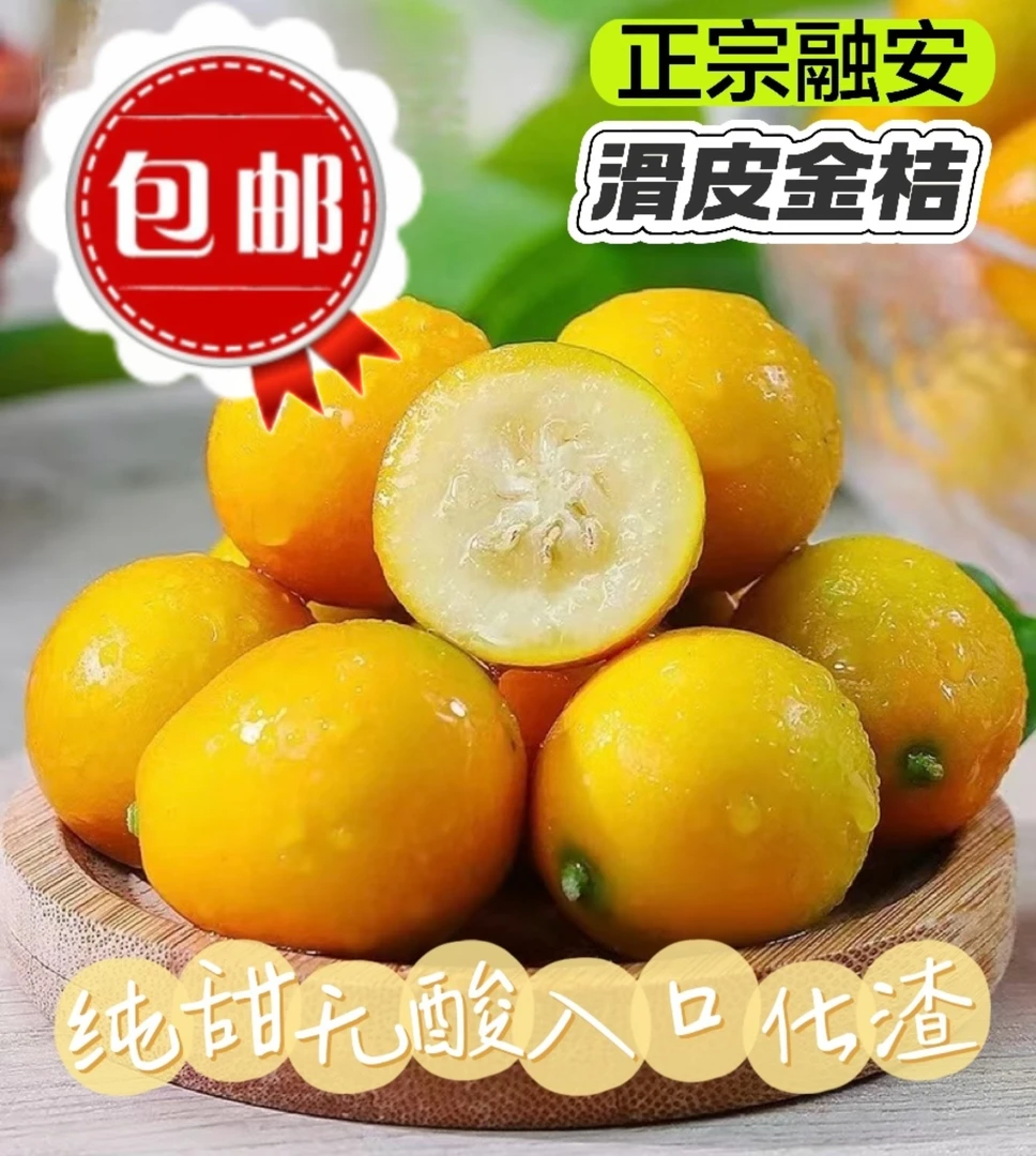 【滑皮金桔】广西融安滑皮金桔新鲜采摘原产地发货包邮到家