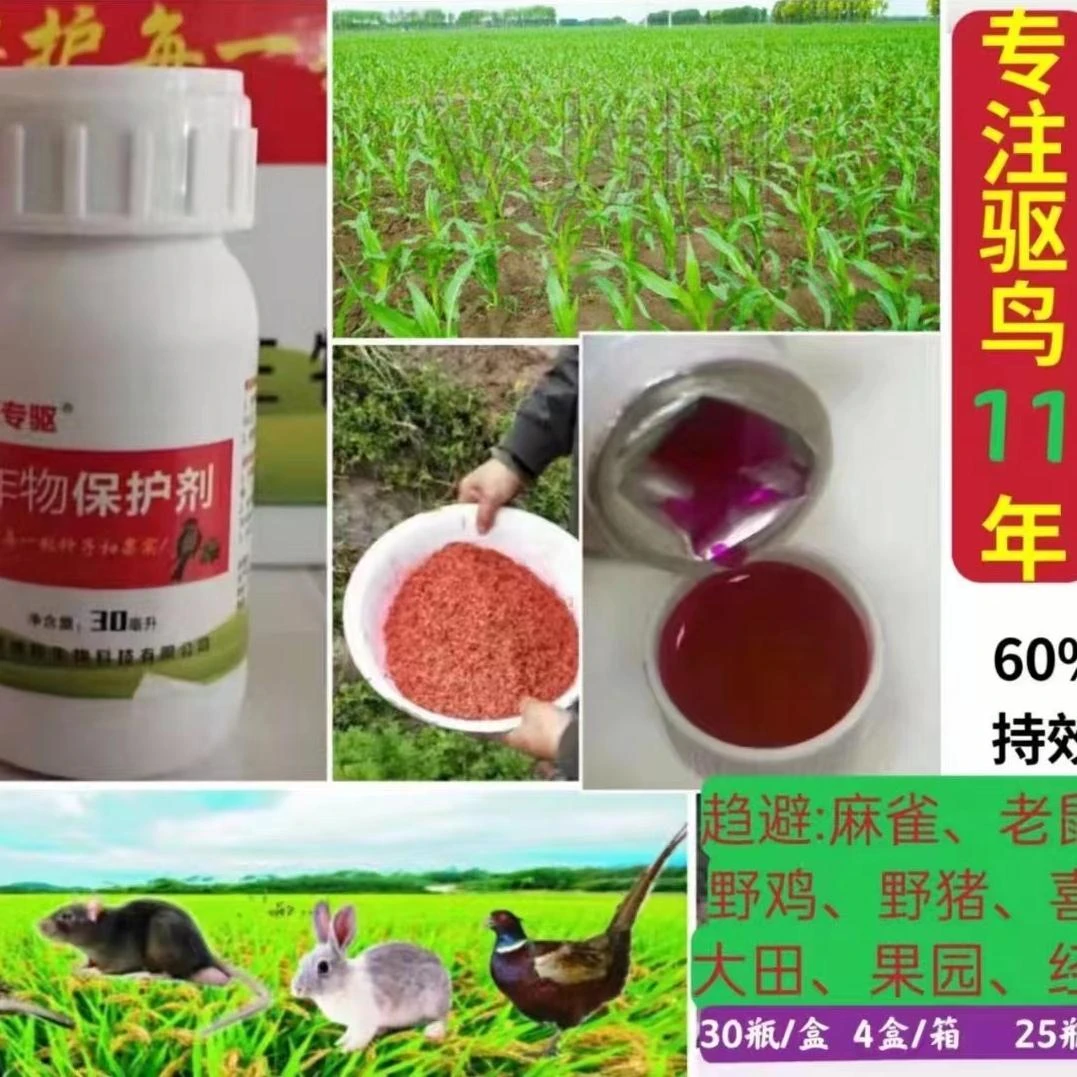 复合香精保护剂（用气味筑起防护之网）科技浓缩果园大田