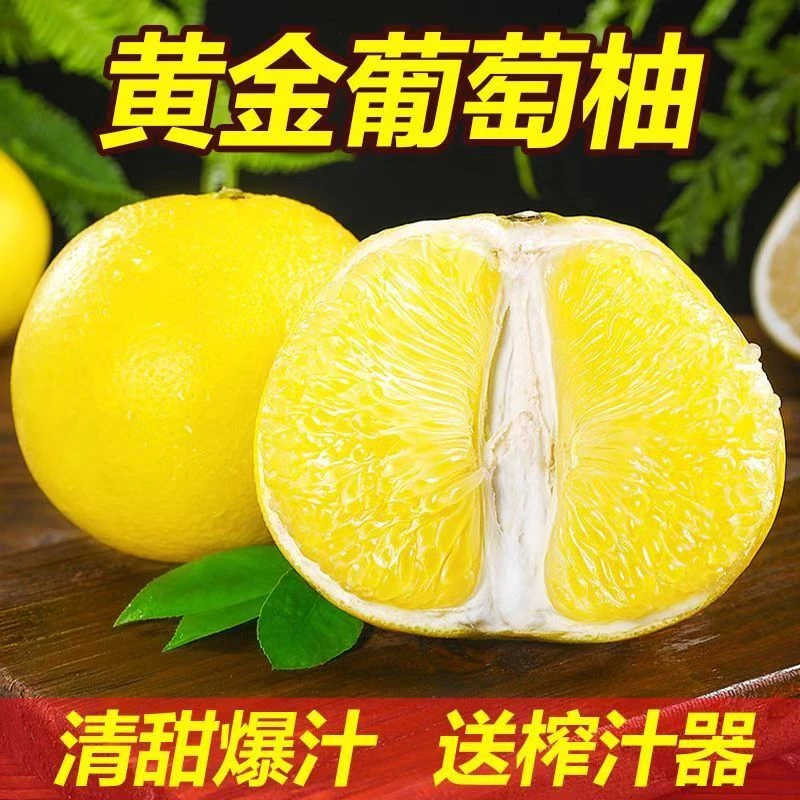【送榨汁器】爆汁黄金葡萄柚7-10个清甜多汁送榨汁器带箱9-10斤