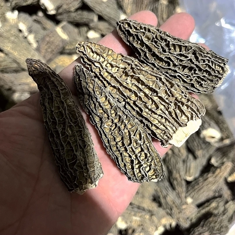 全剪柄5-8厘米羊肚菌250g