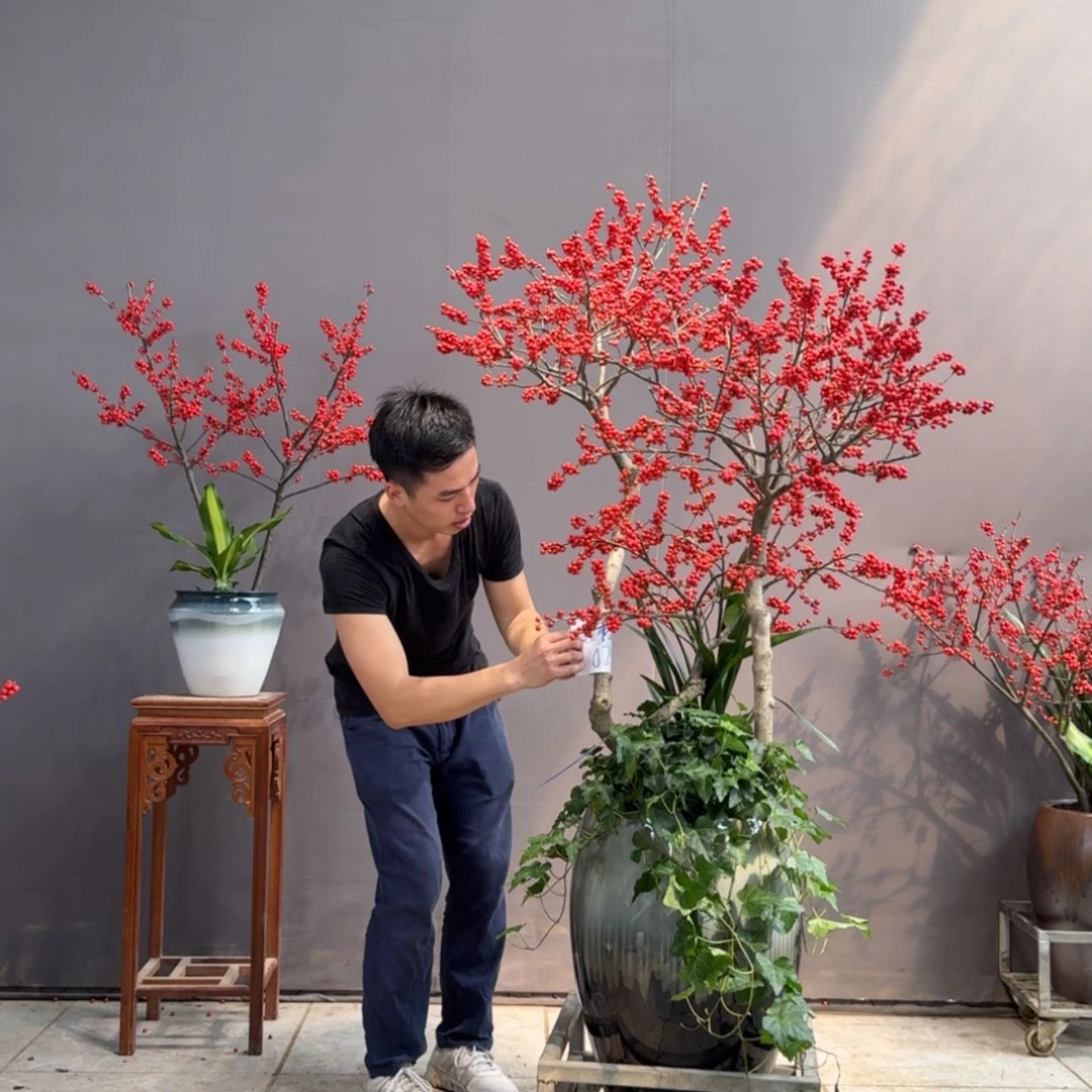 【闪购商品】我**素