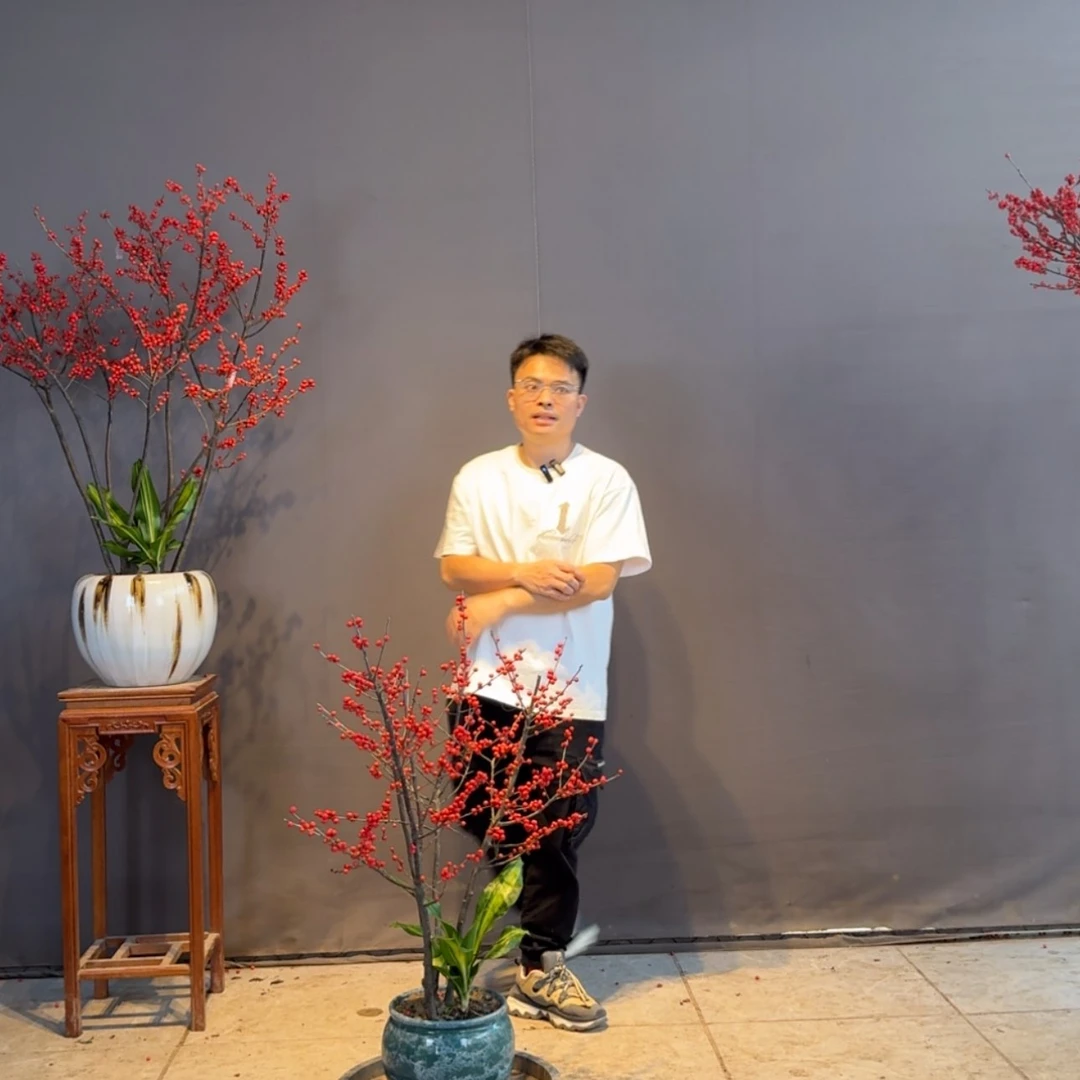 【闪购商品】红陶171cm(含)-200cm(含)王**?