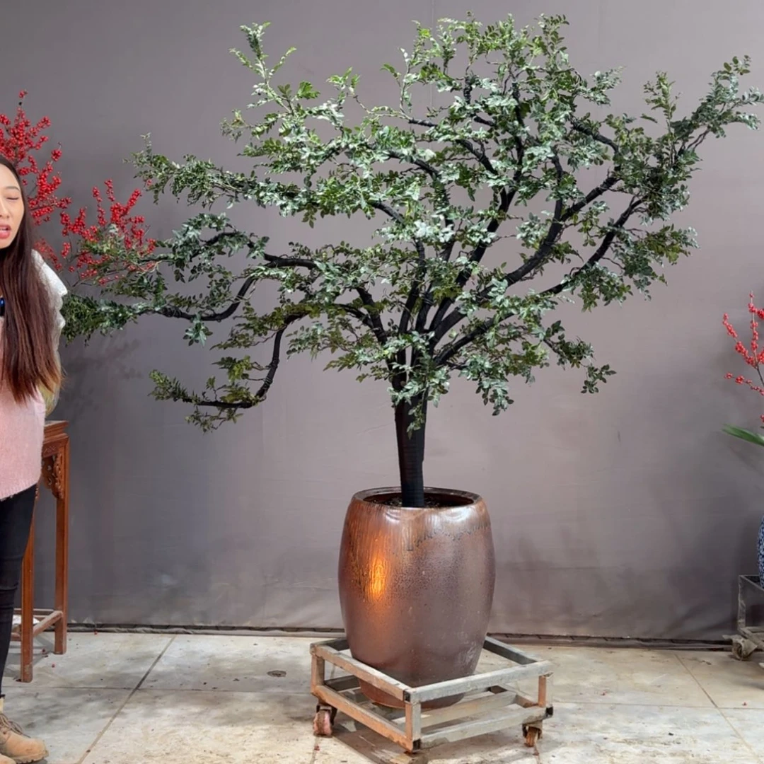 【闪购商品】红陶171cm(含)-200cm(含)慧*?