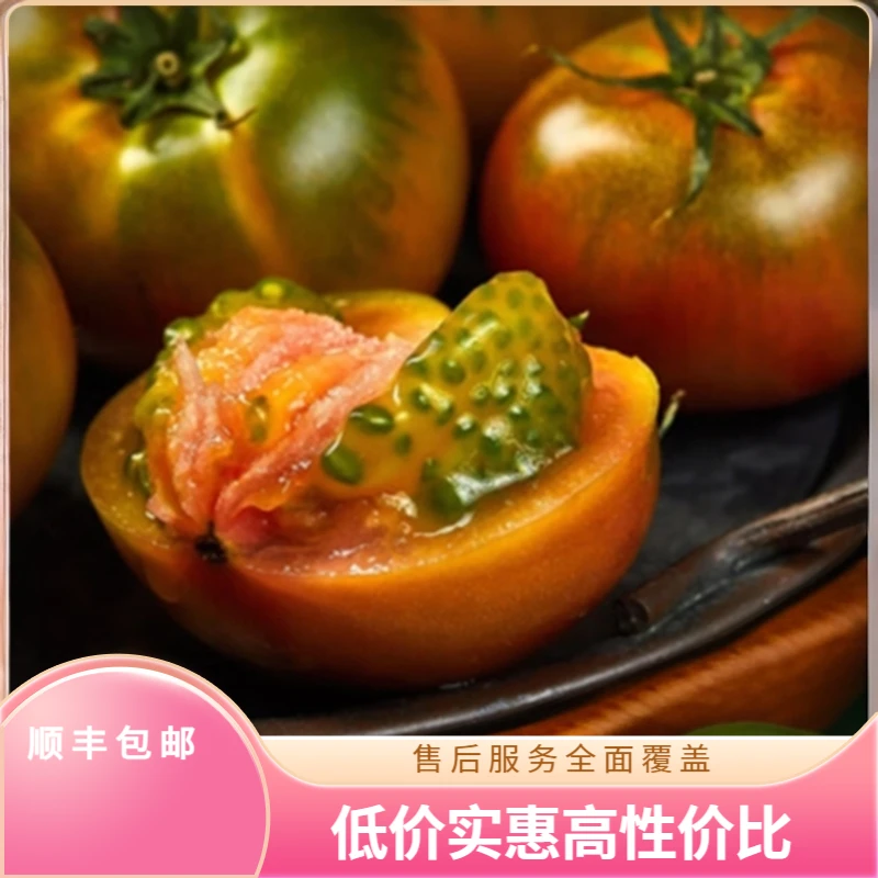 草莓番茄(精品中果) 5斤装 顺丰包邮