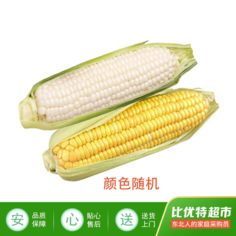东沟玉米 1/穗