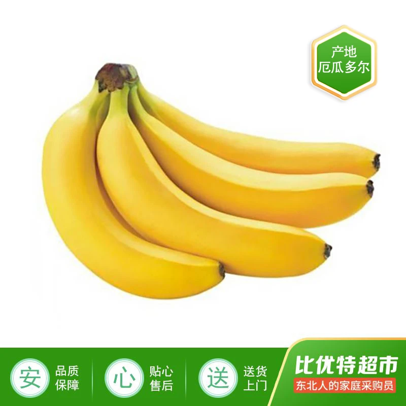 佳农香蕉≥500g/份（成熟度随机）