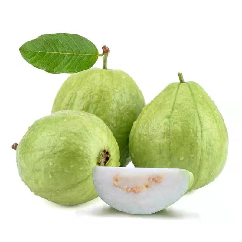 奶油芭乐≥约300g/份(成熟度随机)