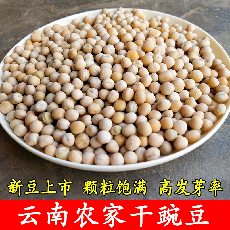 云南新鲜生干豌豆子新货豌豆农民自种芽菜白豌豆鸽粮干货发芽杂粮
