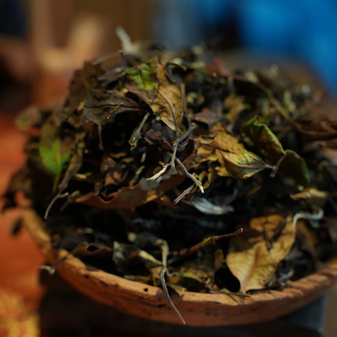 班章老树白茶  古树白茶（散茶）