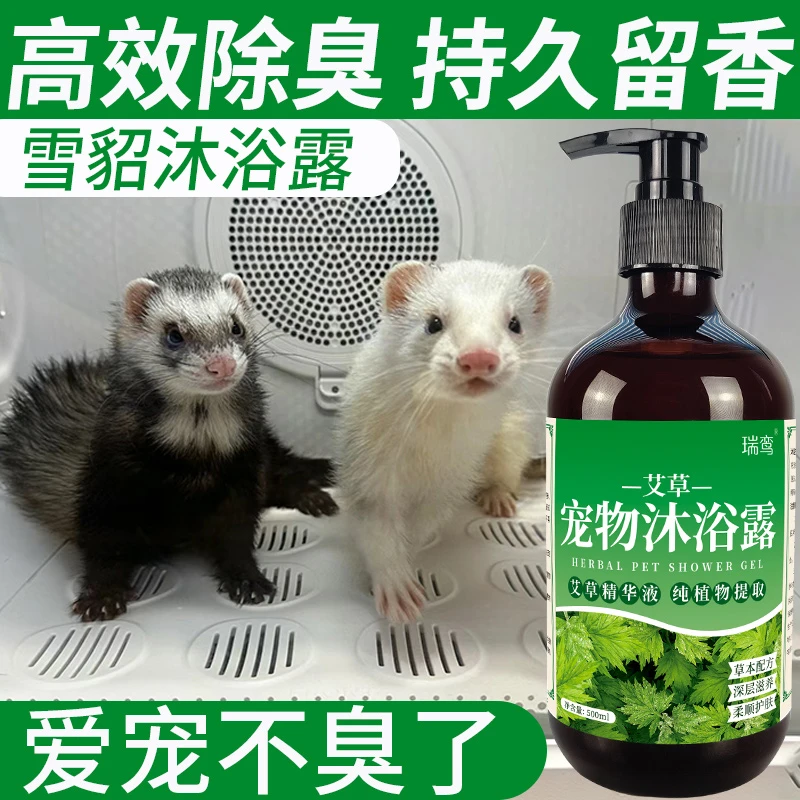 雪貂安格鲁貂除臭留香沐浴露水貂去异味臭味骚臭味专用留香沐浴露