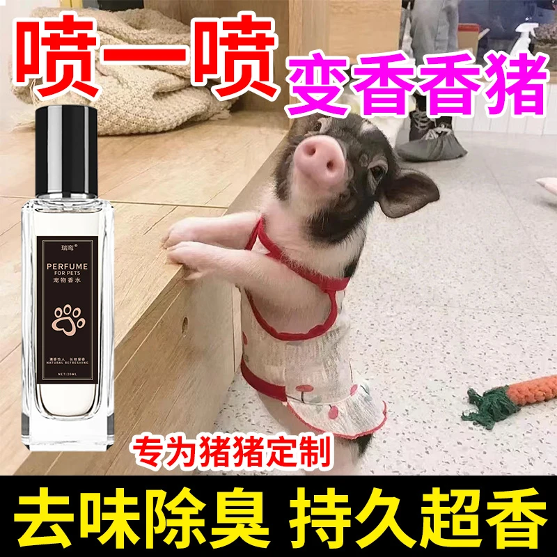 小香猪专用宠物香水去臭味去尿骚味持久留香除味剂宠物除臭剂
