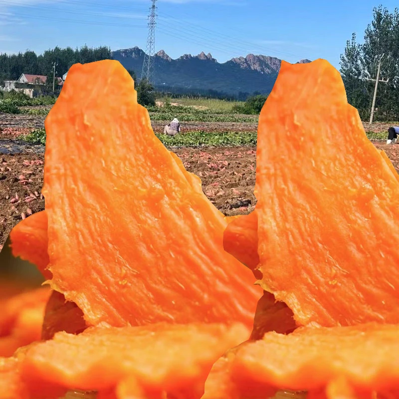 【25年新货 现做现发】山东五莲特产传统工艺无添加软糯香甜红薯干