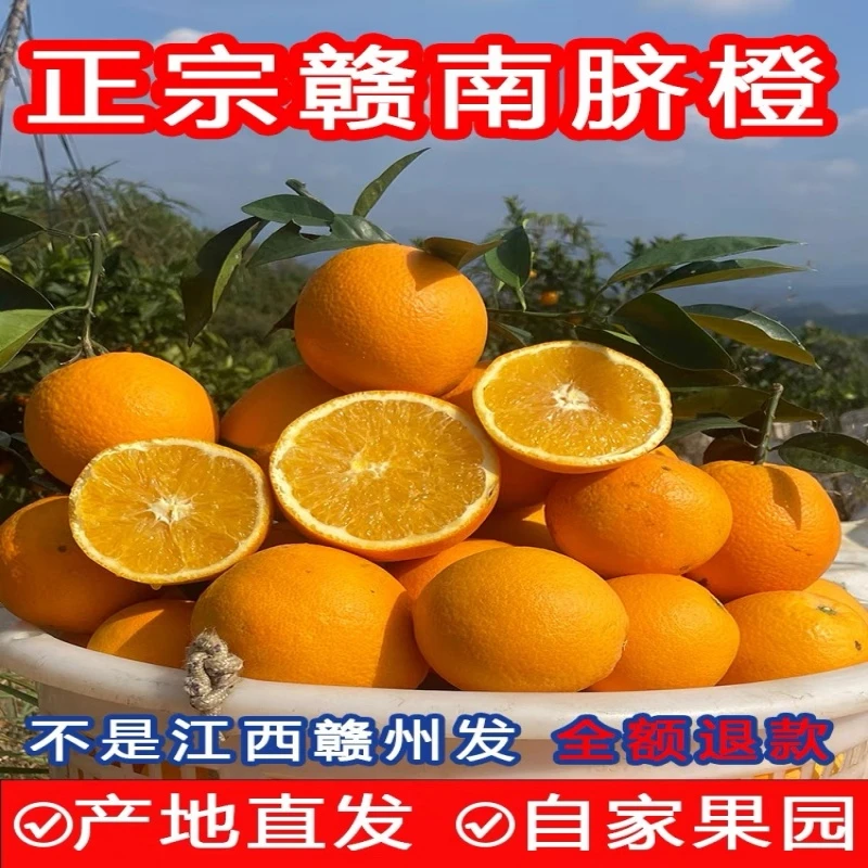 (不带叶发货)正宗赣南脐橙10斤装江西新鲜橙子现摘现发赣州安远