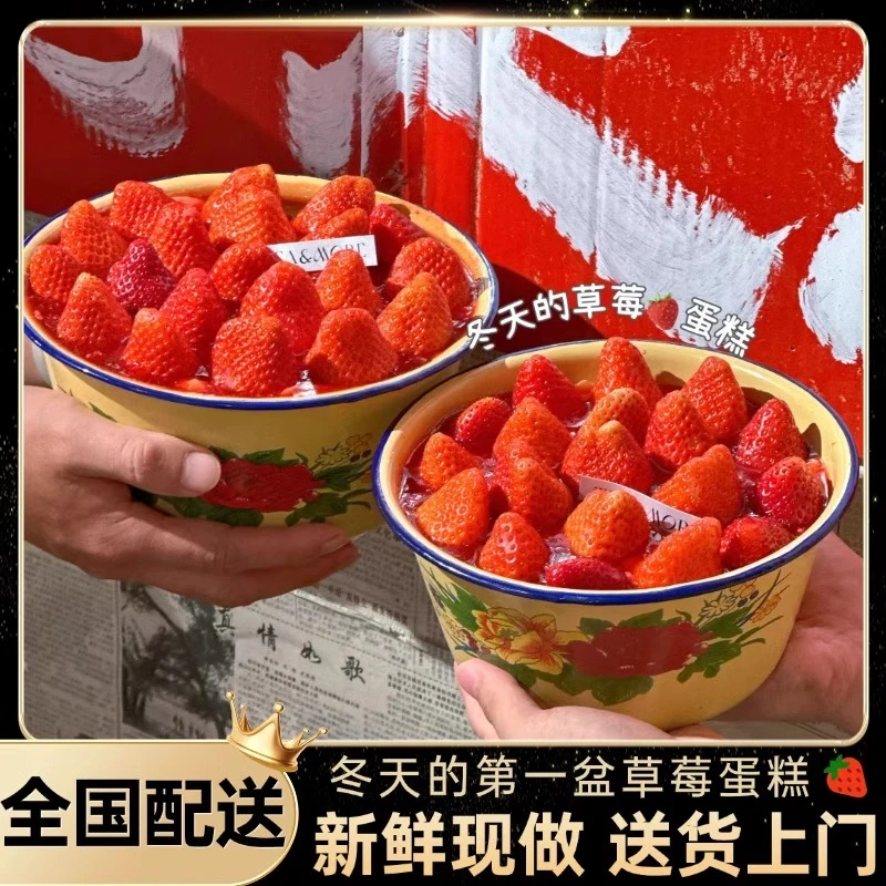 新年蛇年搪瓷草莓盆生日蛋糕冰淇淋夹心水果蛋糕男女同城配送全国